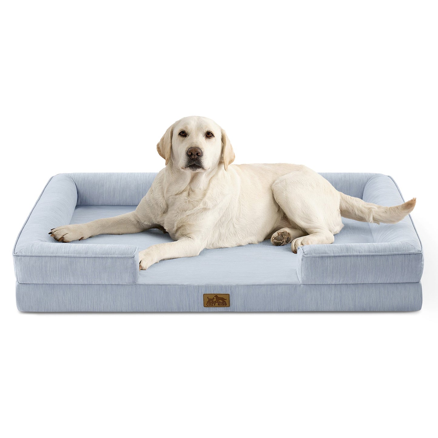 Dog lying on a blue pet bed with a white background#color_Sky Blue