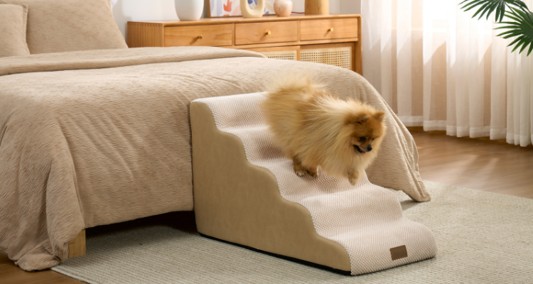 3-Step, 4-Step, or 5-Step Pet Stairs: Which Height Does Your Dog Need?