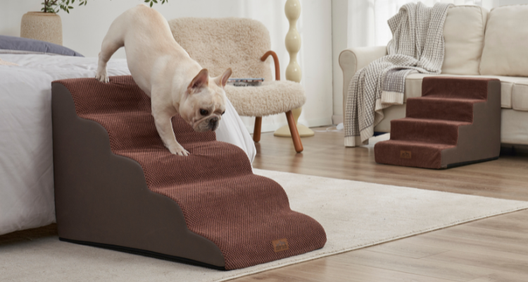 Best Birthday Gifts for Dogs: Cozy and Practical Ideas