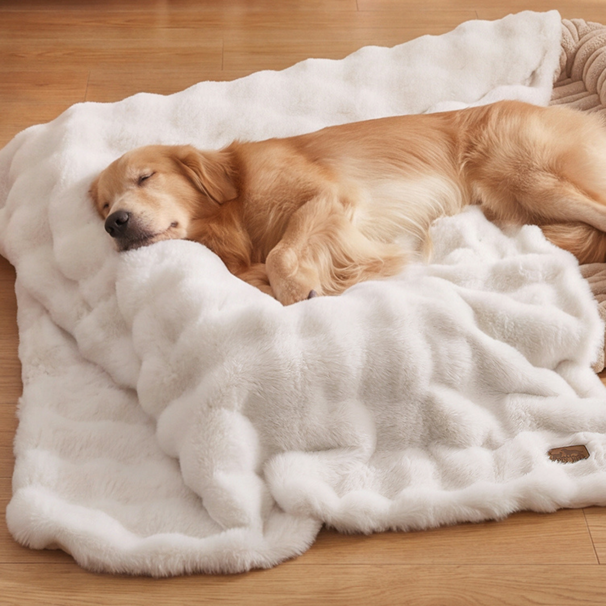 Pet Blankets