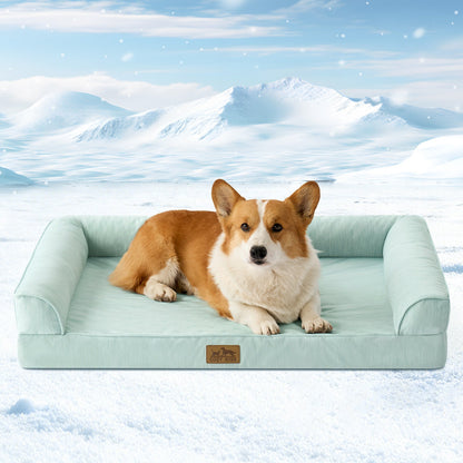 Dog lying on a sage green pet bed with a snowy mountain background#color_Sage Green