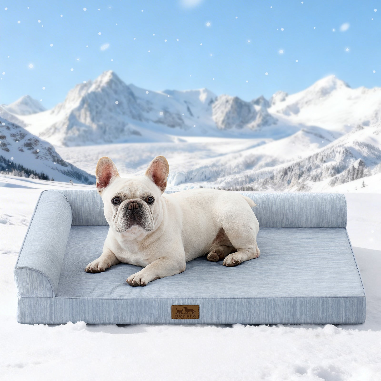 Dog lying on a blue pet bed in a snowy landscape with mountains.#color_Sky Blue