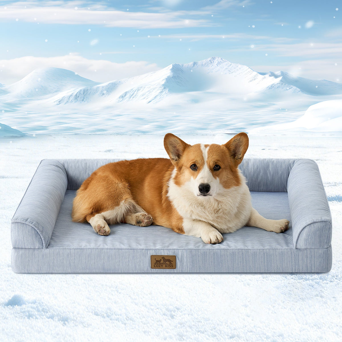Dog lying on Cozy Kiss sky blue pet bed in a snowy landscape