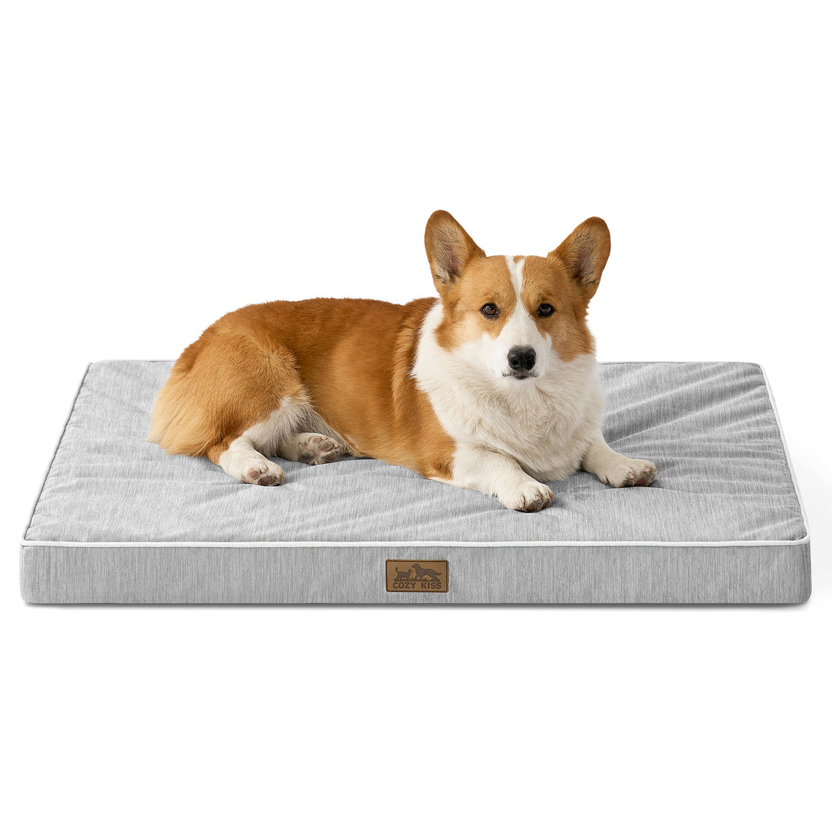 Front view of dog lying on a gray pet bed