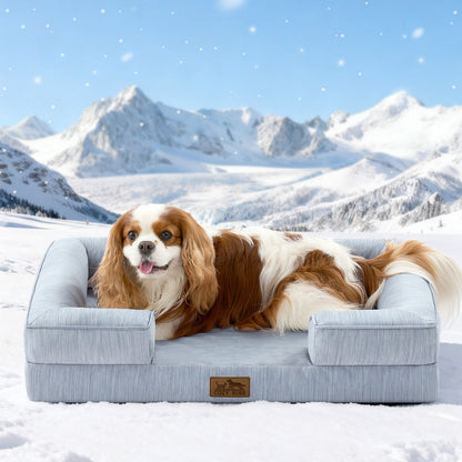 Dog lying on a cool blue dog bed in a snowy landscape with mountains.#color_Sky Blue