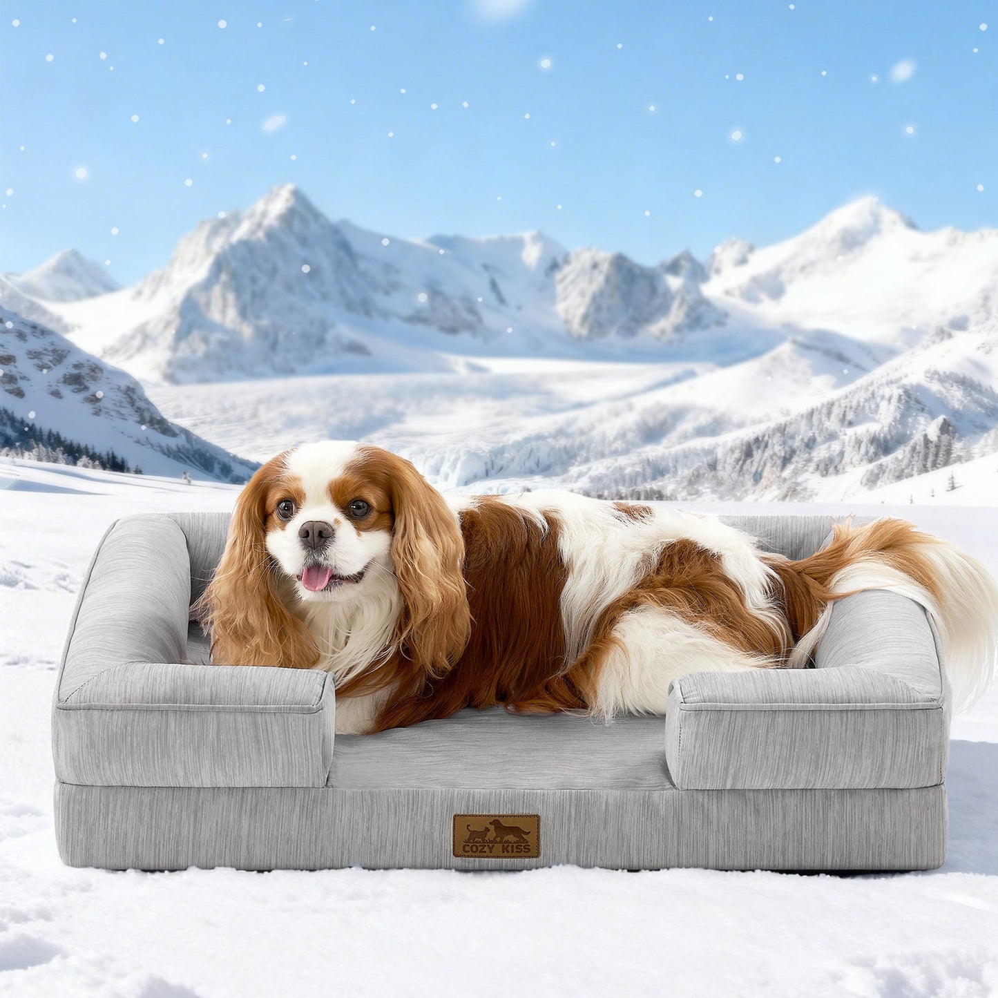 Dog lying on a gray pet bed in a snowy landscape with mountains.#color_Grey