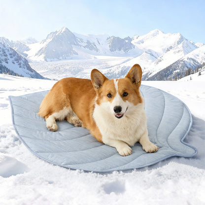 Dog lying on a blue pet bed in a snowy landscape with mountains. #color_Sky Blue