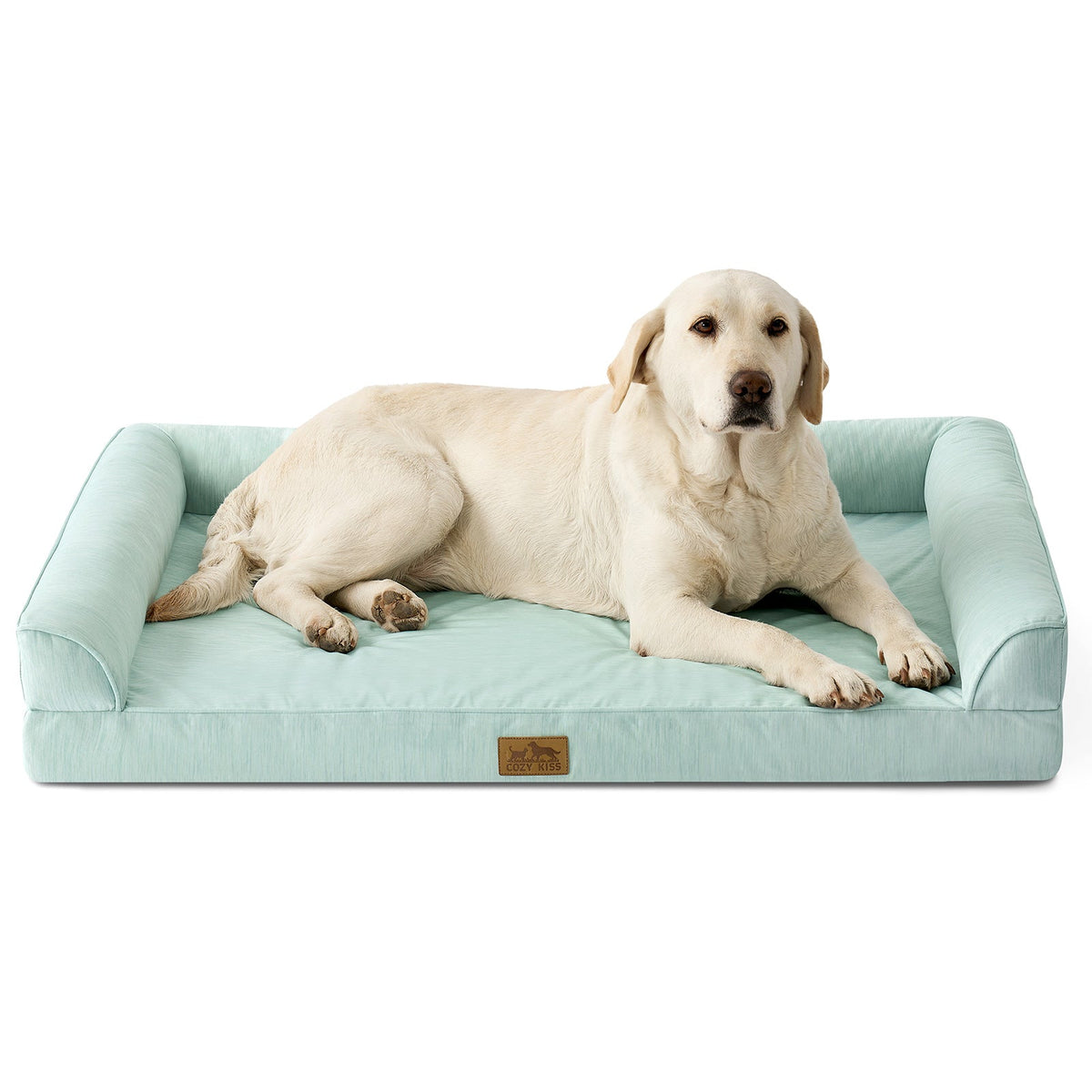 Dog lying on Cozy Kiss sage green pet bed with a white background