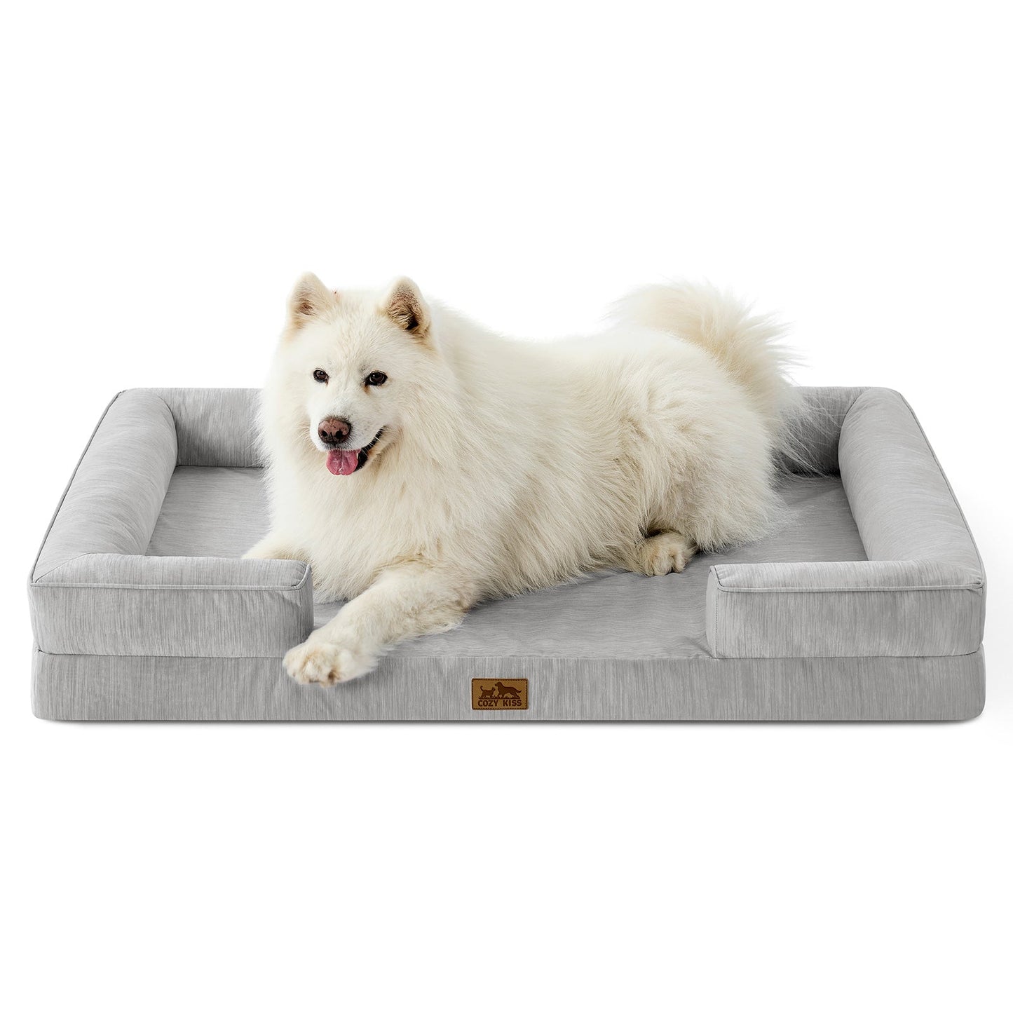 White dog lying on a gray pet bed with a white background#color_Grey