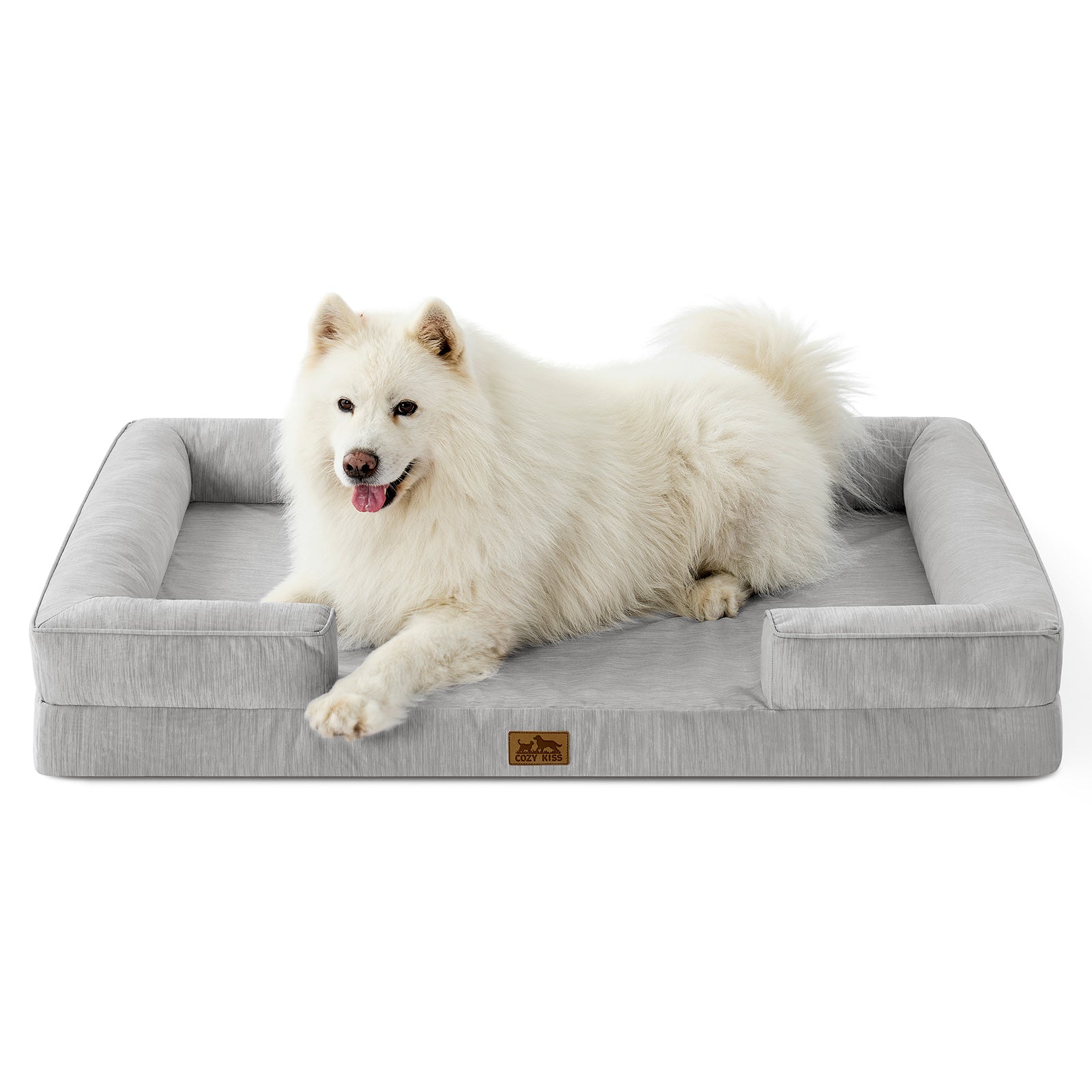 White dog lying on a gray pet bed with a white background#color_Grey