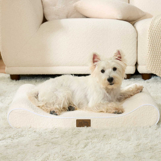 All Seasons Boat-Shaped Scratch-Resistant Dog Bed