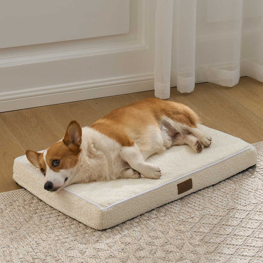 All Seasons Scratch-Resistant Crate Mat