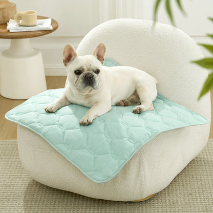 Dog lying on a green pet mat on sofa.#Color_Sage Green