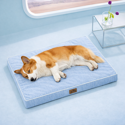 Dog sleeping on a gray cooling pet bed in a light blue room with a window in the background.#color_Cool Blue