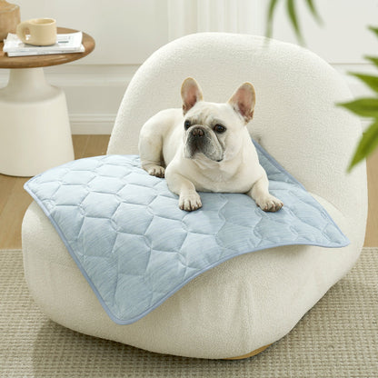 Dog lying on a cooling pet mat on safa.#Color_Sky Blue