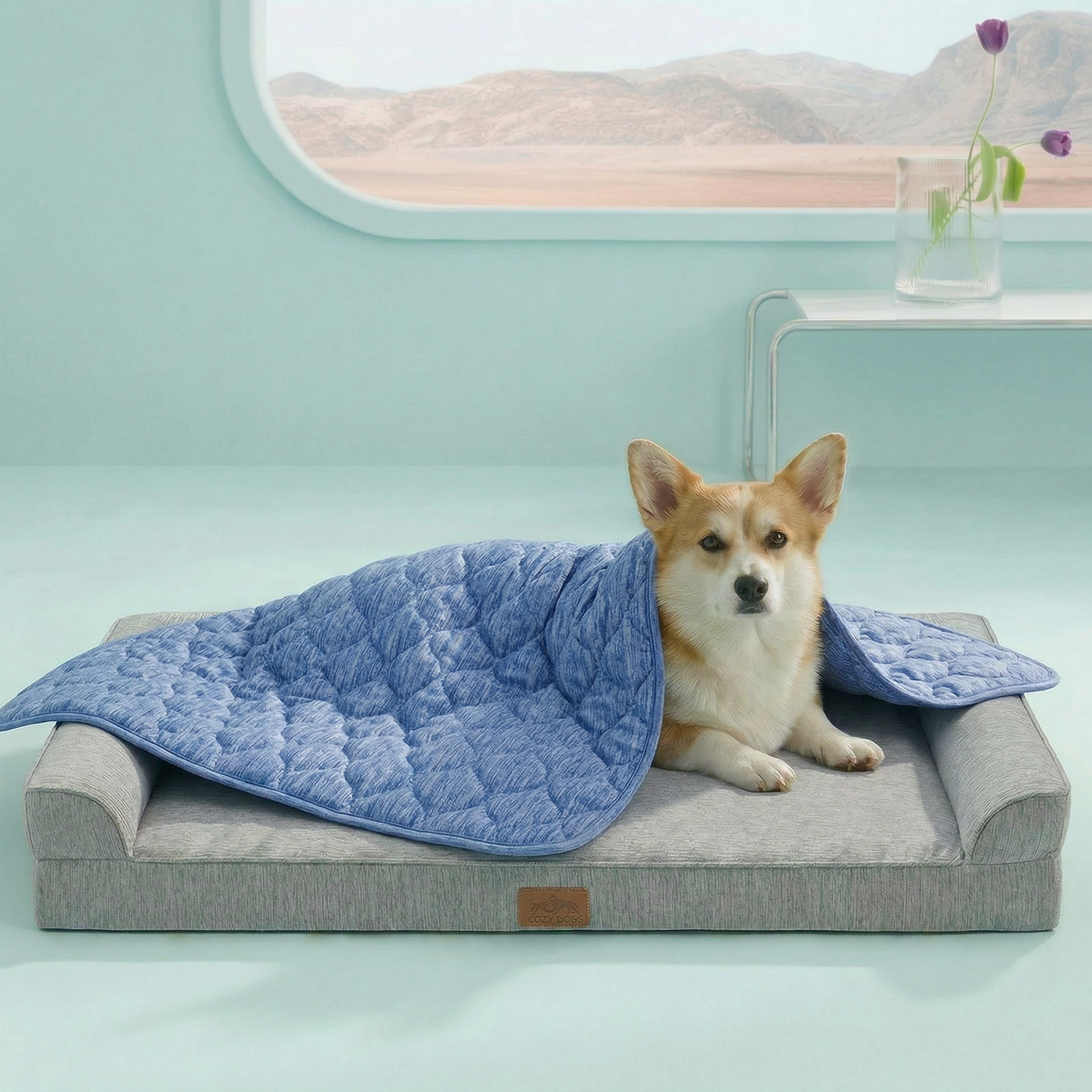 Cozy Kiss pet cooling blanket front view with Dog sitting on it. #color_Blue