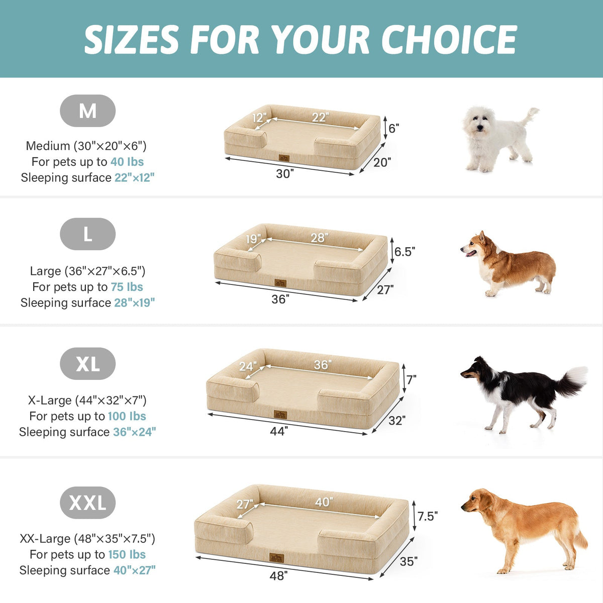Dog bed size chart with measurements and corresponding dog sizes