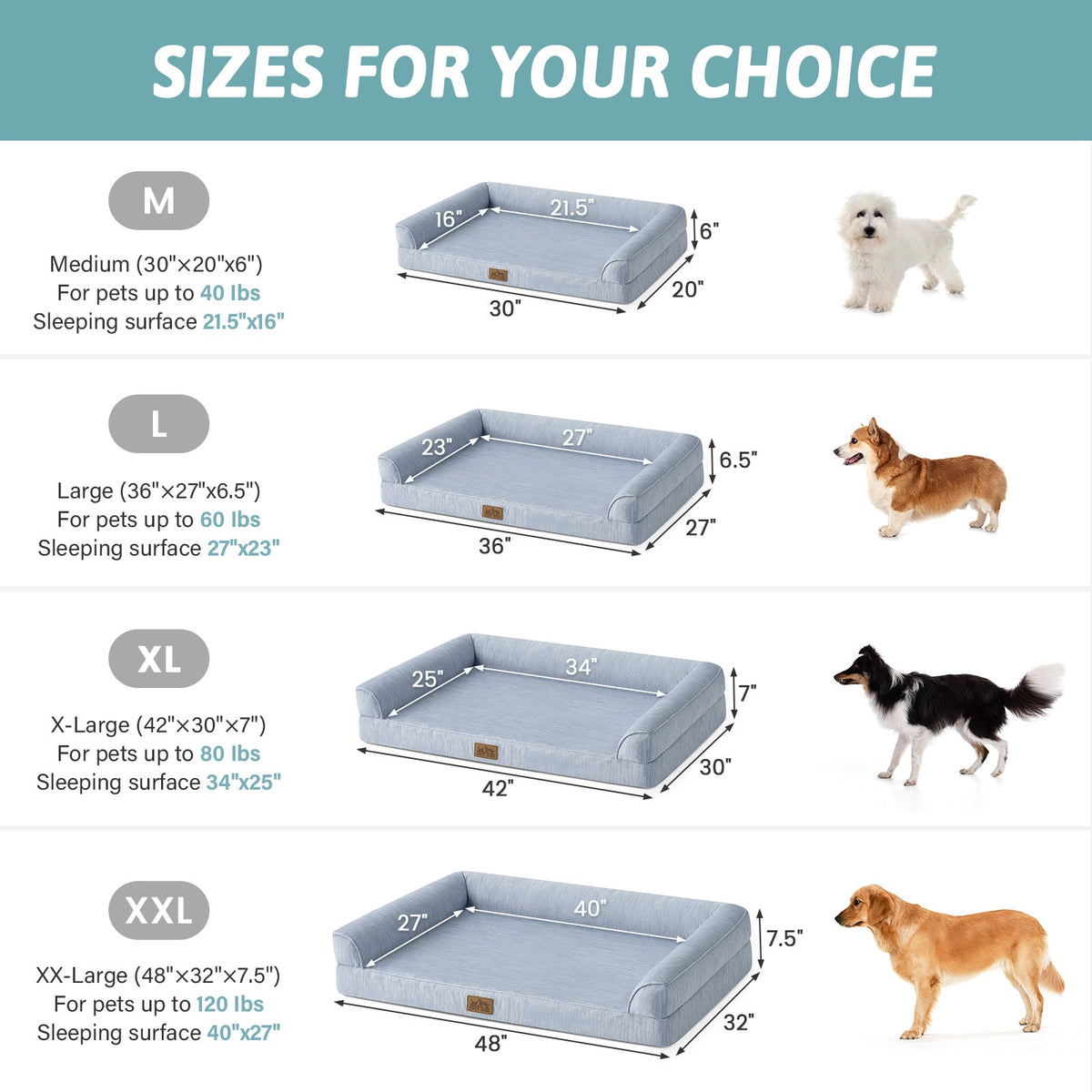 Dog bed size chart with measurements and corresponding dog breeds for each size.