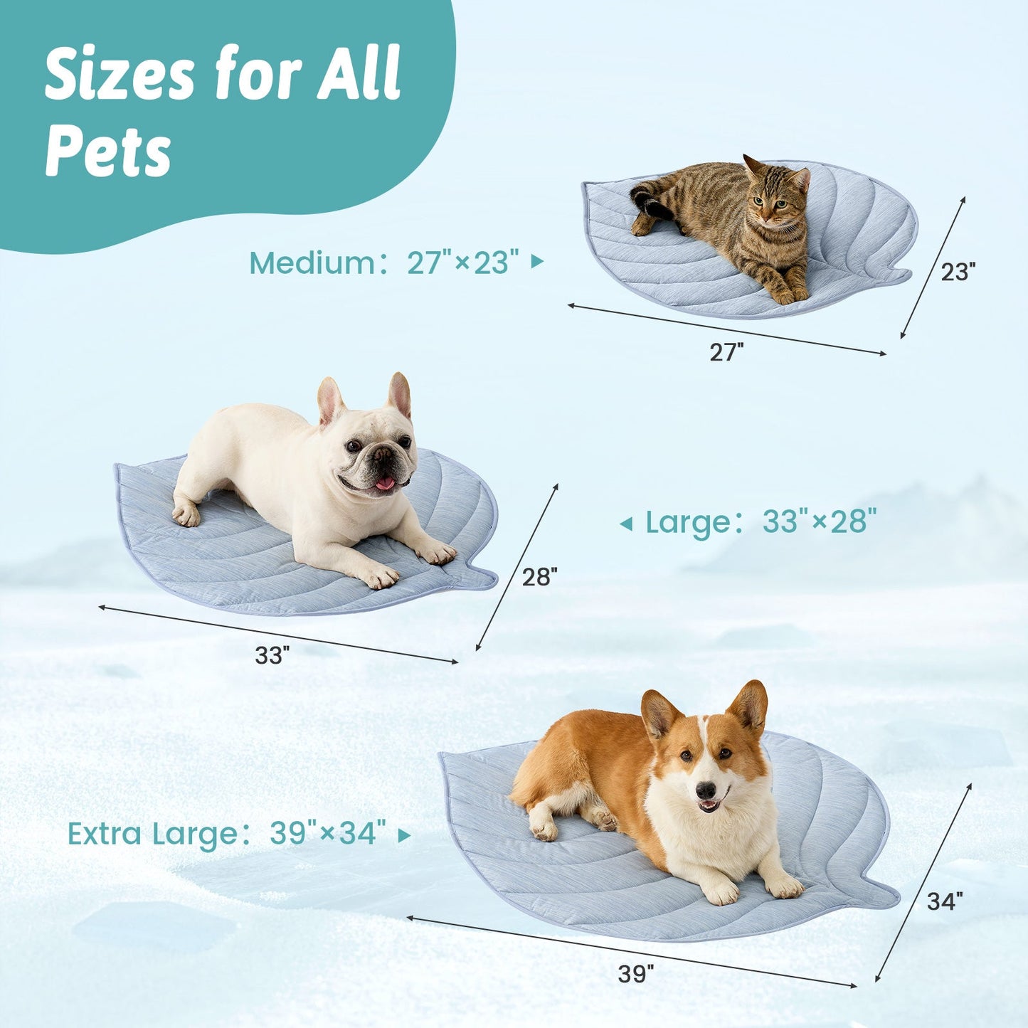 Pet beds of different sizes with measurements for dogs and a cat. #color_Sky Blue