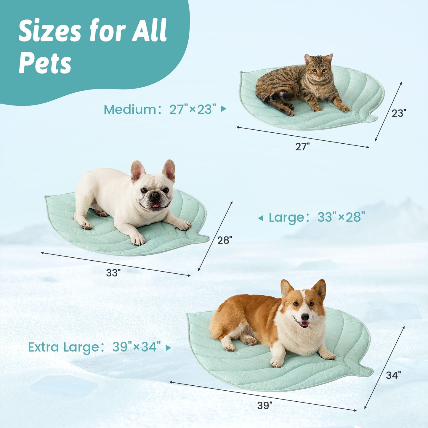 Pet beds of different sizes with measurements for dogs and cats. #color_Green