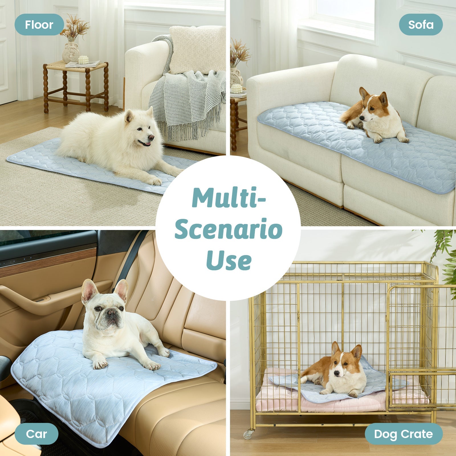 Dog using a pet mat on various surfaces including floor, sofa, car, and dog crate.#Color_Sky Blue