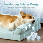 Dog lying on Cozy Kiss sage green pet bed with text about ergonomic support for dogs' heads and necks.