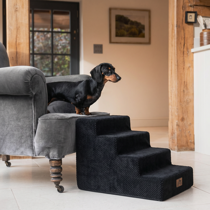 4-Step Non-Slip Right-Angle Pet Stairs