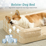 Dog resting on a beige bolster dog bed with ice cubes and text about ergonomic support.