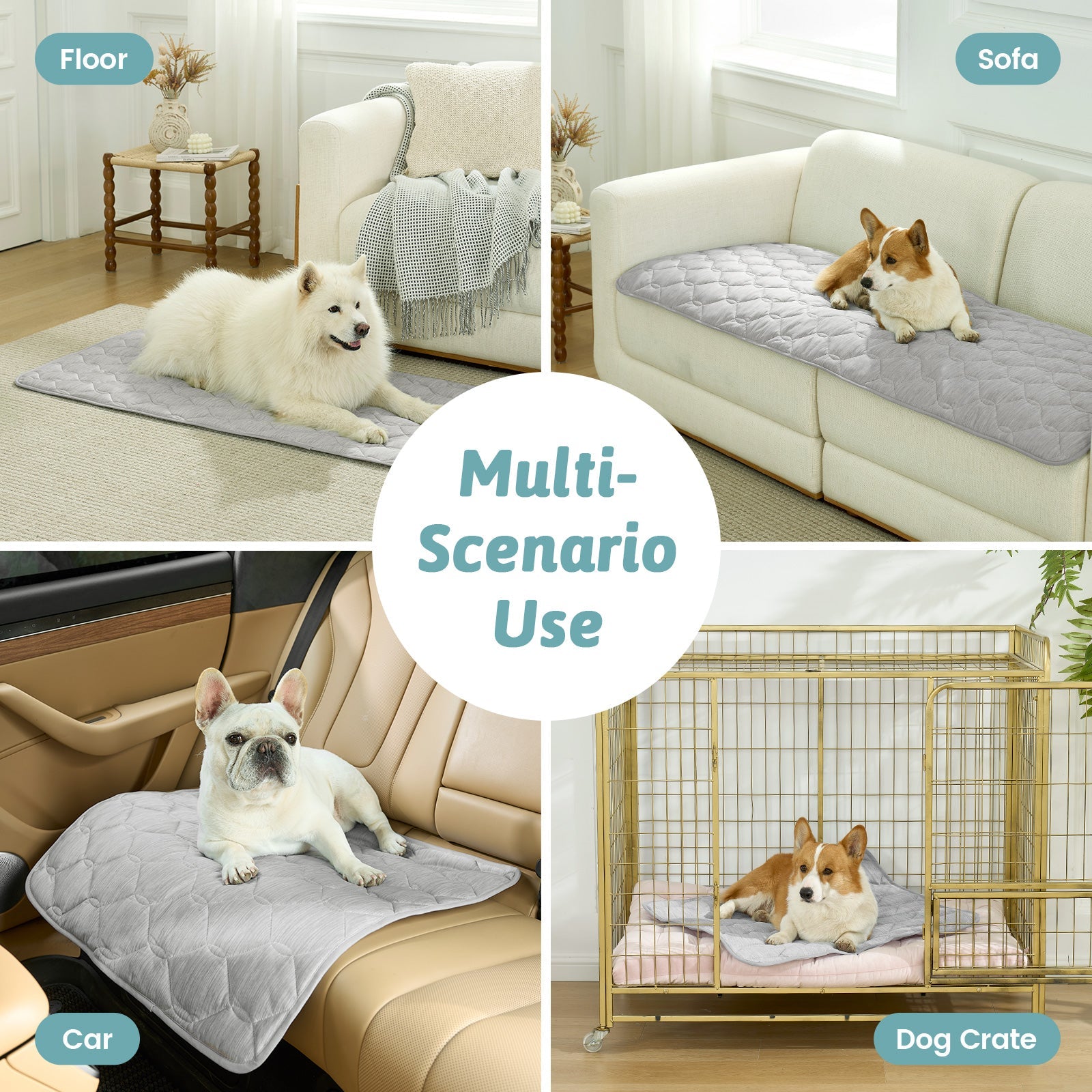 Dog using a pet mat on various surfaces including floor, sofa, car, and dog crate.#Color_Grey