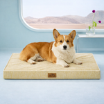 Front view of dog lying on a gray pet bed
