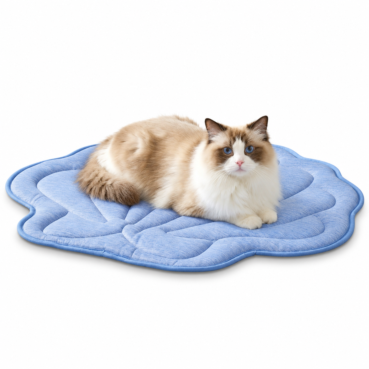 Cat sitting on Cozy Kiss blue shell shape cooling mat in a living room.