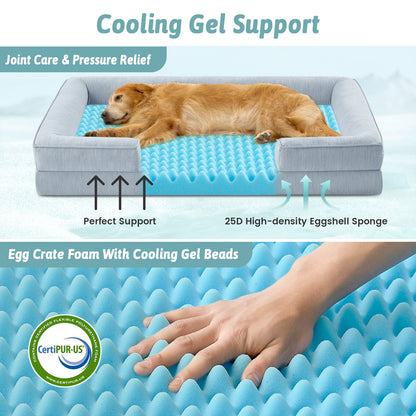 Dog lying on a cooling support bed with text highlighting features like joint care and pressure relief.#color_Sky Blue