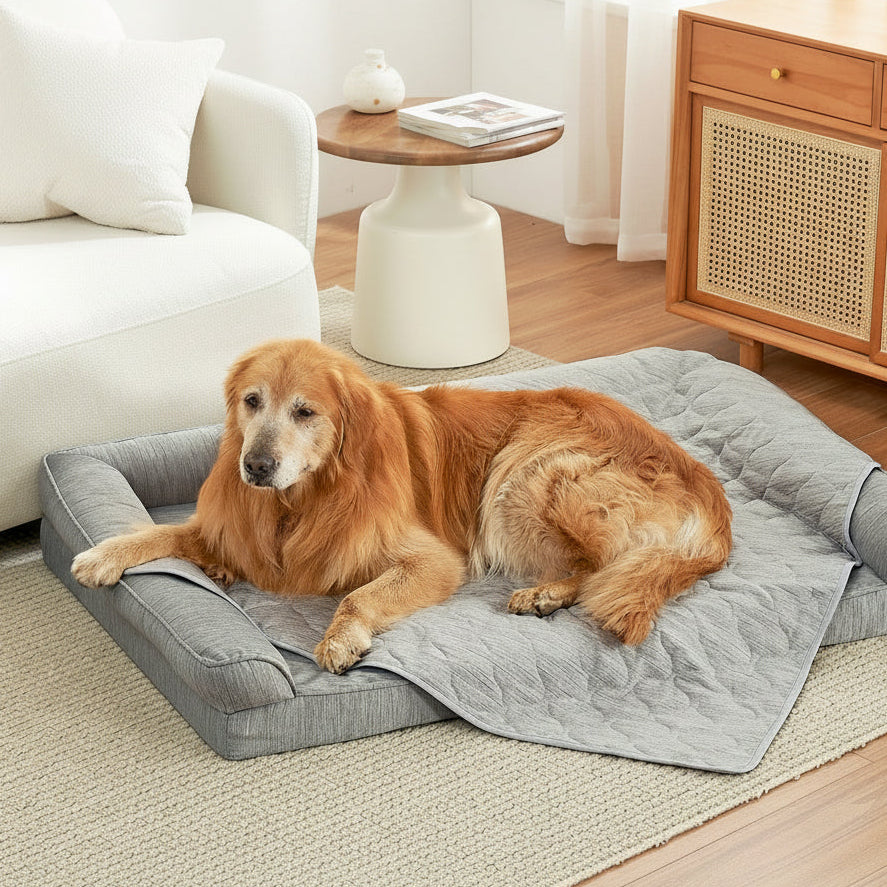 Cozy Kiss pet cooling blanket front view with a dog sitting on it. #color_Grey