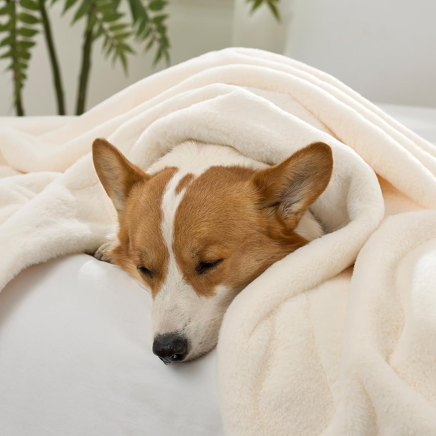 Dog snuggled under a Cozy Kiss leakproof faux fur pet blanket for a nap. #color_Cream White