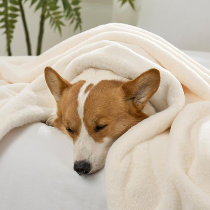 Dog snuggled under a Cozy Kiss leakproof faux fur pet blanket for a nap. #color_Cream White