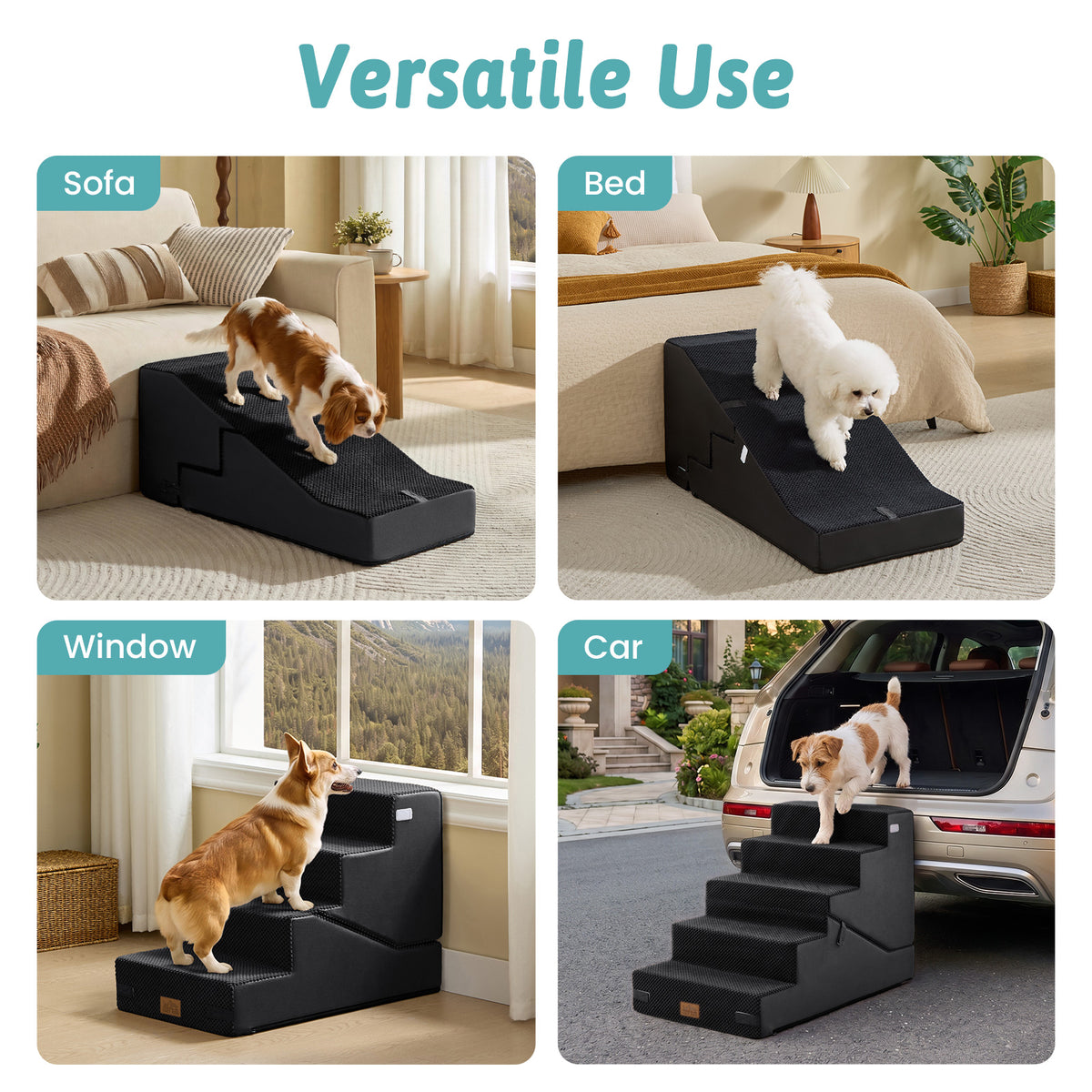 #color_Black