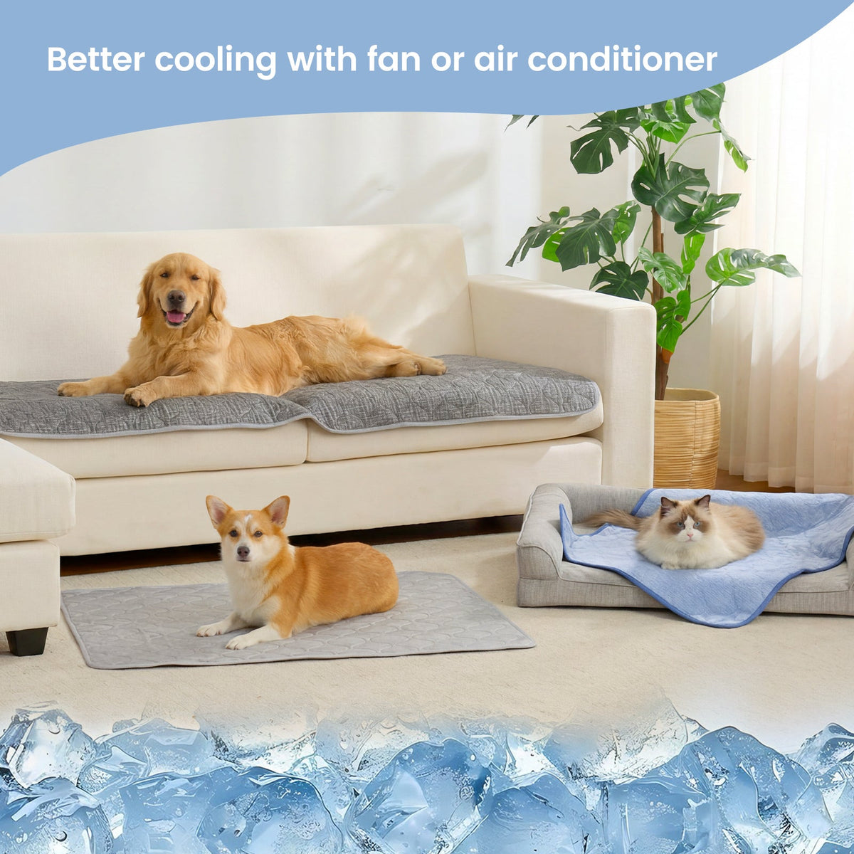 Two dogs and a cat on cooling pads.
