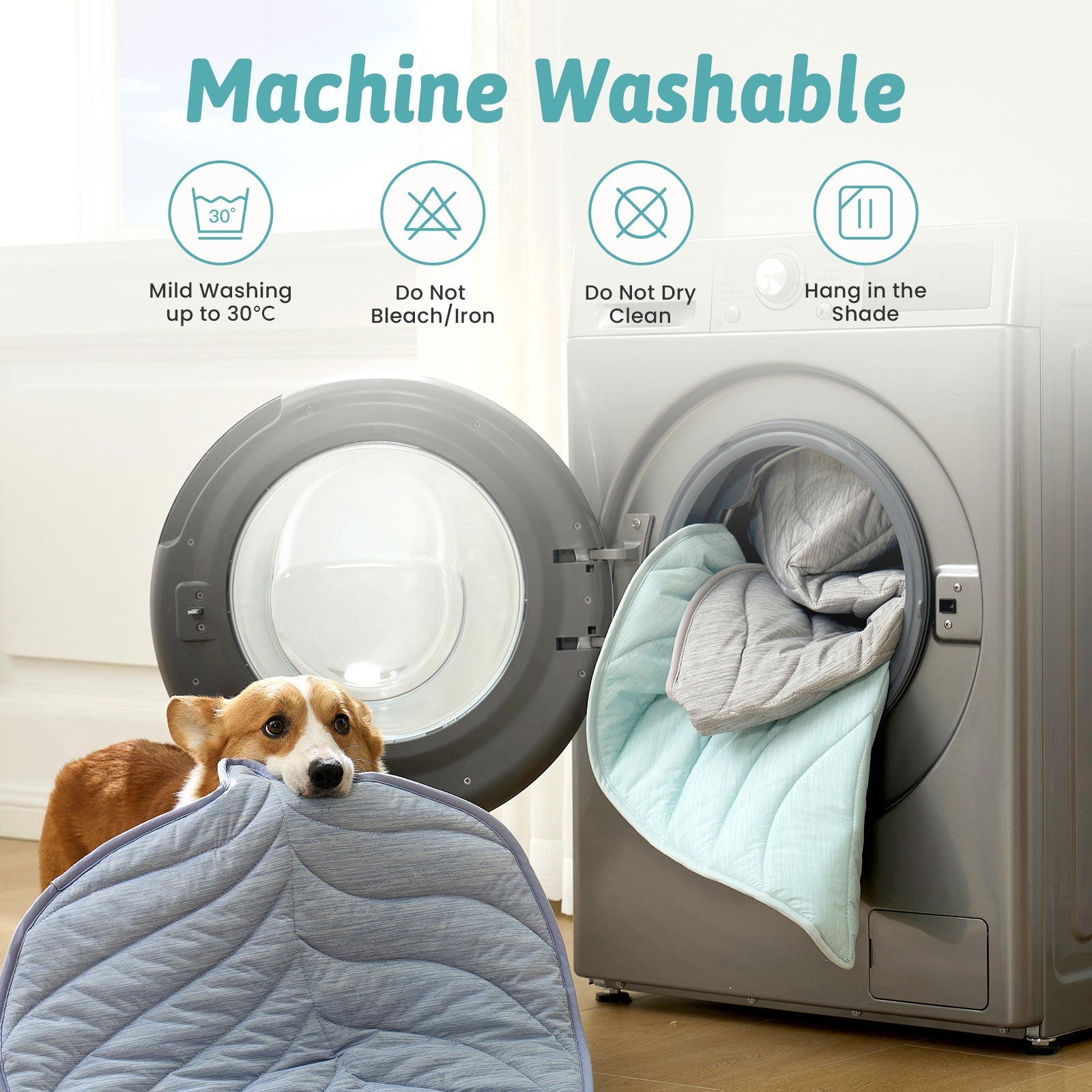 Dog lying on a machine washable pet bed with washing machine in the background #color_Green