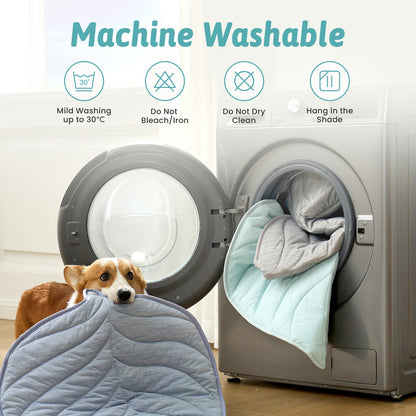 Dog lying on a machine washable pet bed with washing machine in the background #color_Green