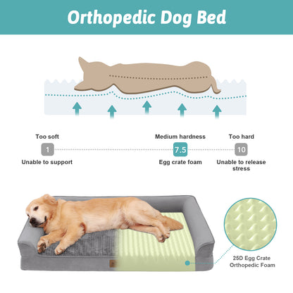 All Seasons U-Shaped Scratch-Resistant Dog Bed